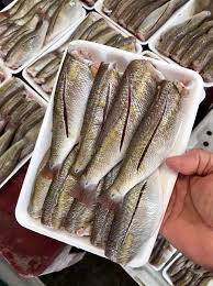 Cá dóc Cô Tô một nắng